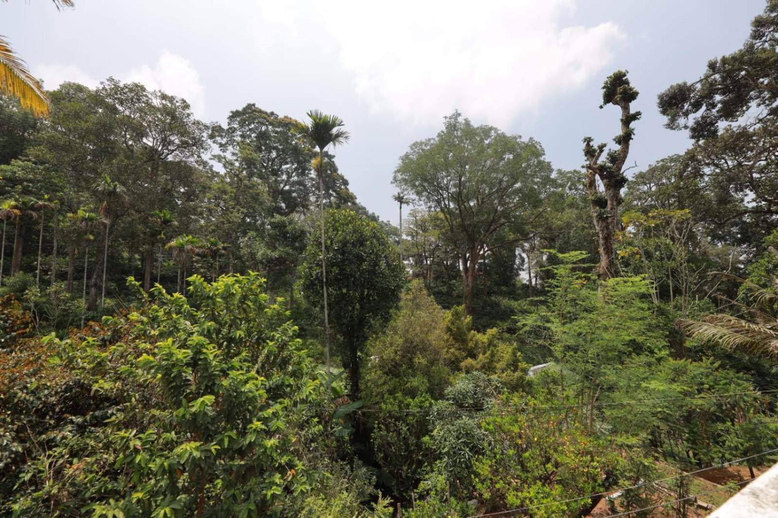 Green Shades Munnar Exterior photo