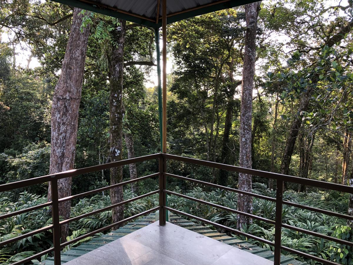 Green Shades Munnar Exterior photo