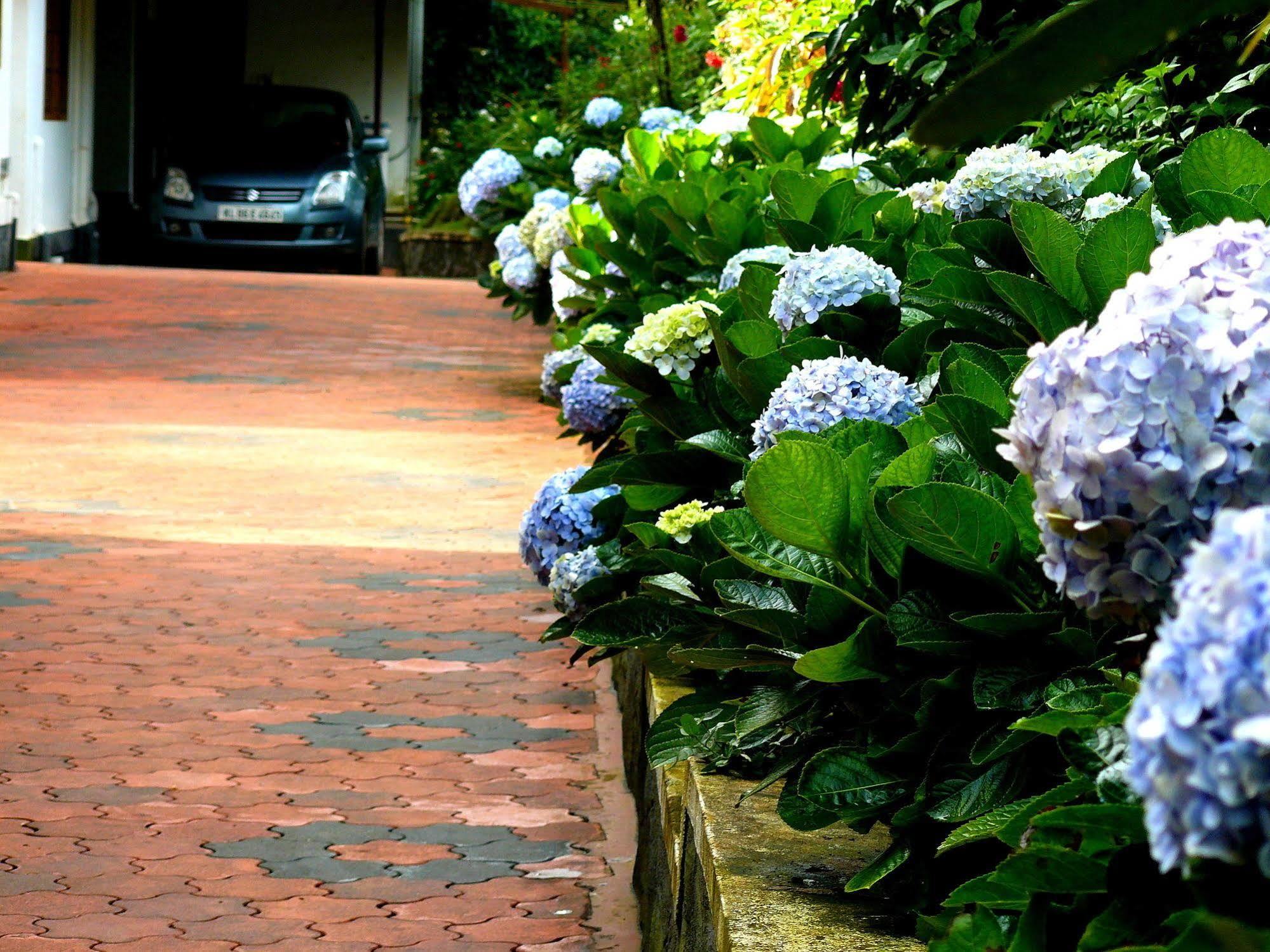 Green Shades Munnar Exterior photo